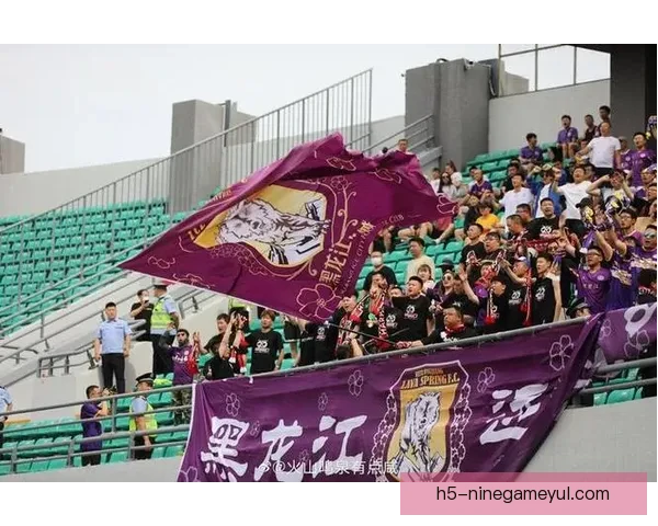 延边龙鼎新赛季单场票价公布详情