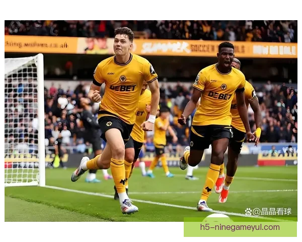 半场利兹被动平伯明翰斯坦中框 半场利兹被动平伯明翰斯坦中框